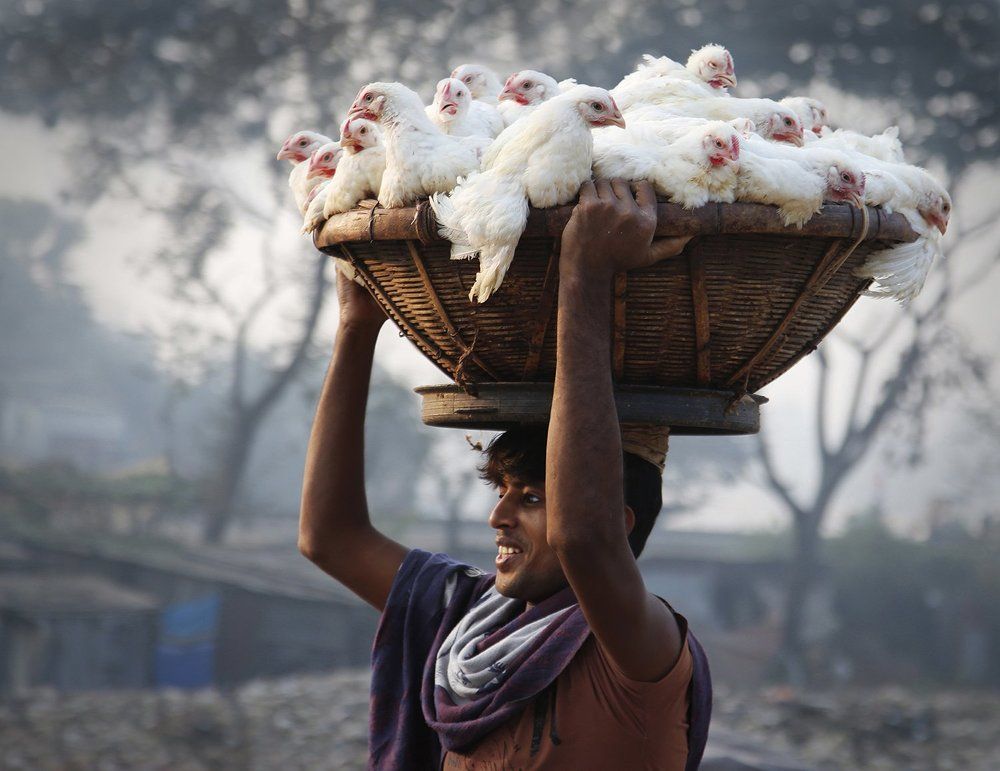 Базарный день