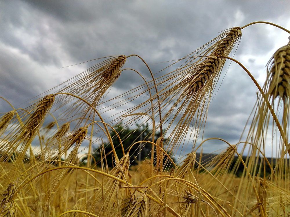 Photograph by Геннадий