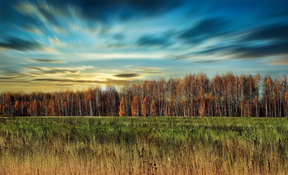 Осенние зарисовки