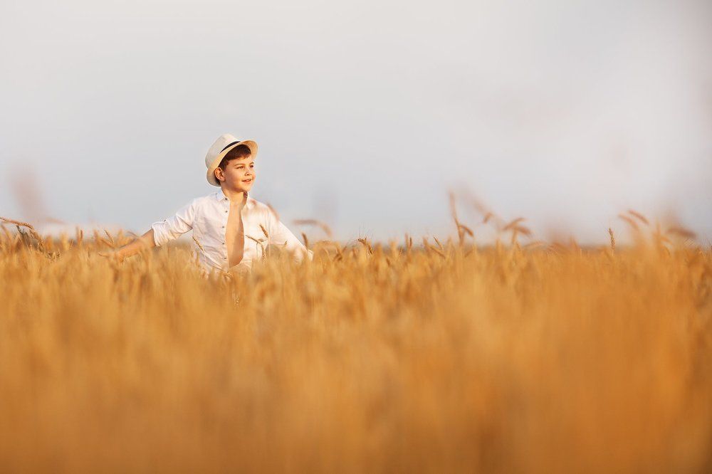 Хлеб до горизонта