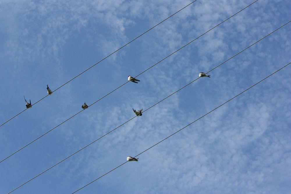 Июльские ноты.