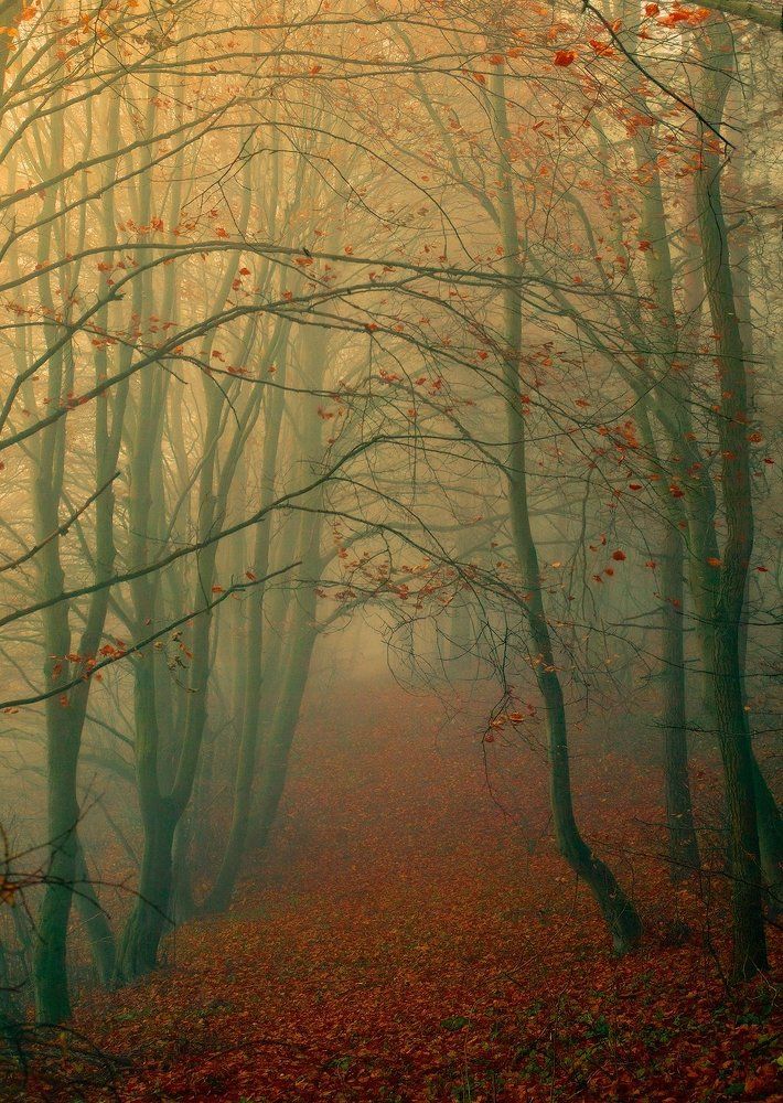 Туманная осень