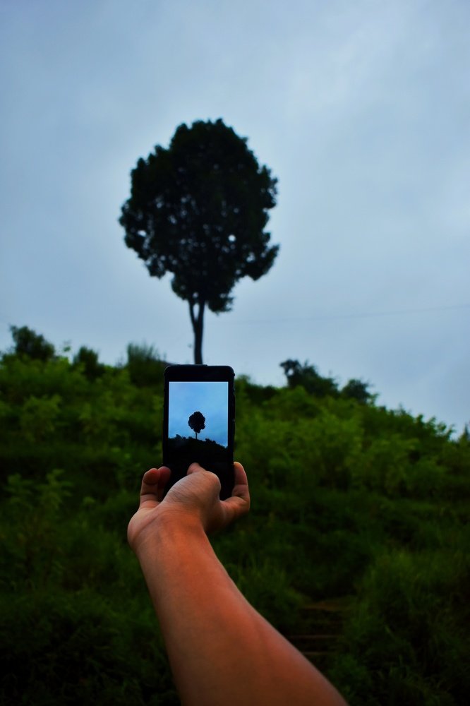 Perception