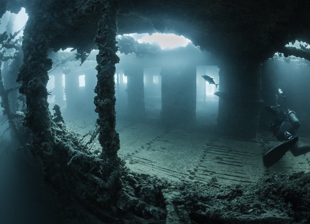 Umbria. Interior. Girl and fish.