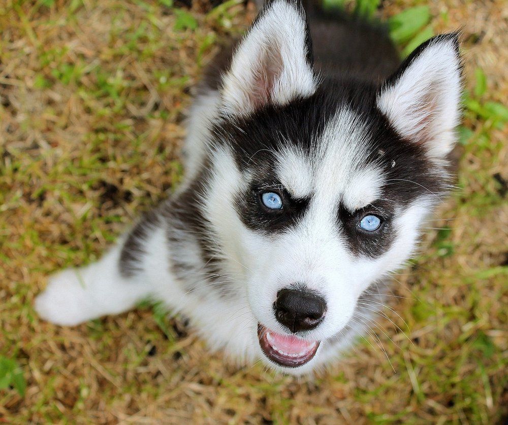 Photograph by Надежда Рахманова