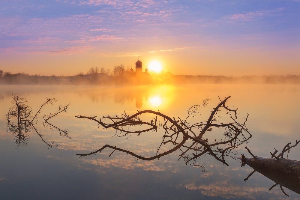 Тернистый рассвет