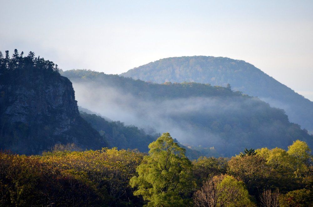 Утро туманное