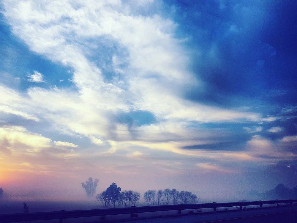 Foggy