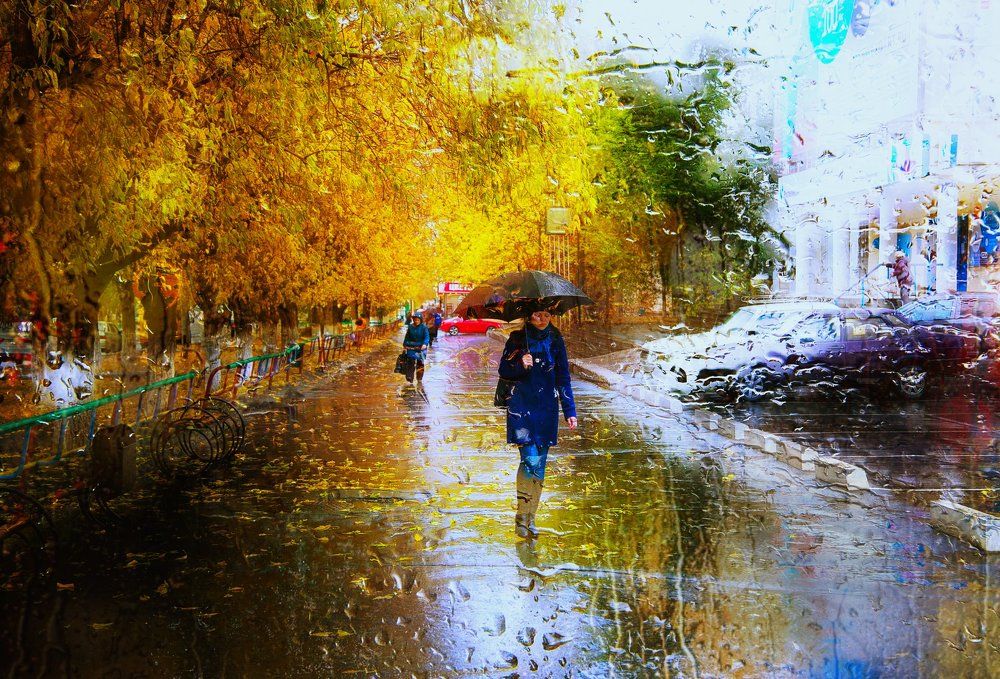 Дождливое утро