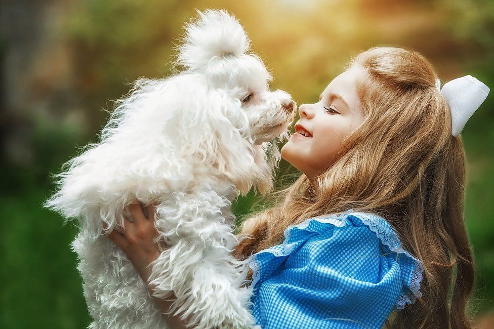 Моменты счастья