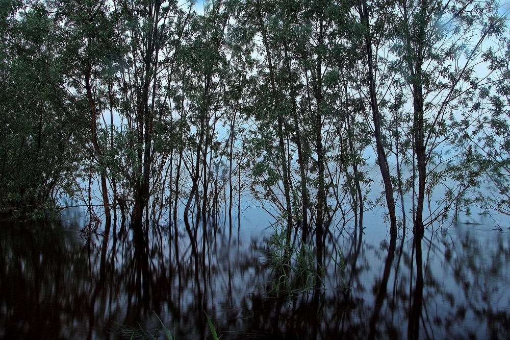 Речка после заката