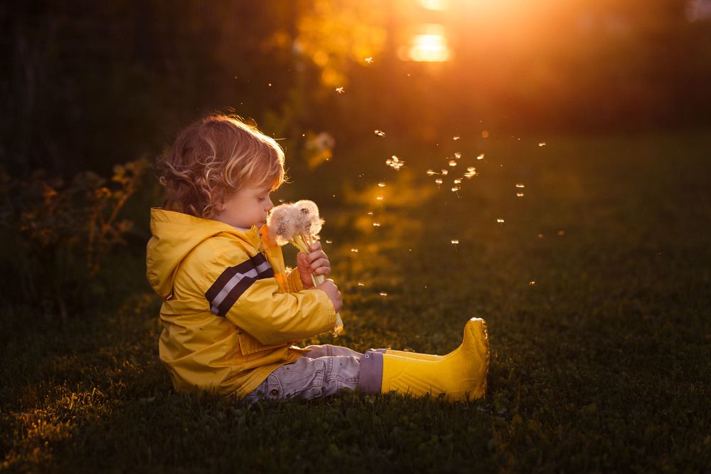 Photograph by Анна Родионова