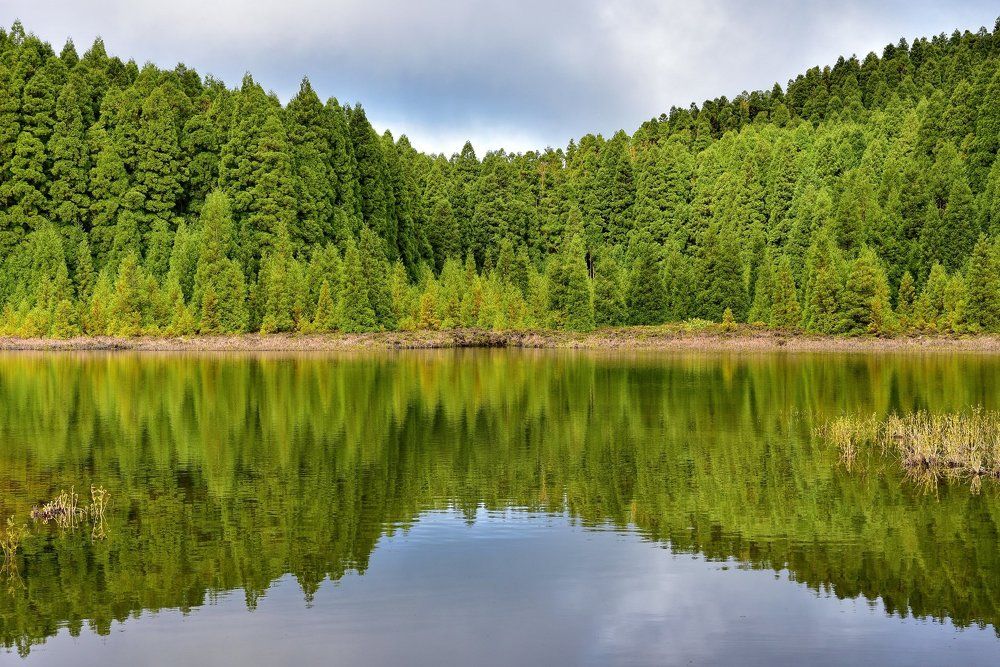 Канареечное озеро, Lagoa do Canario
