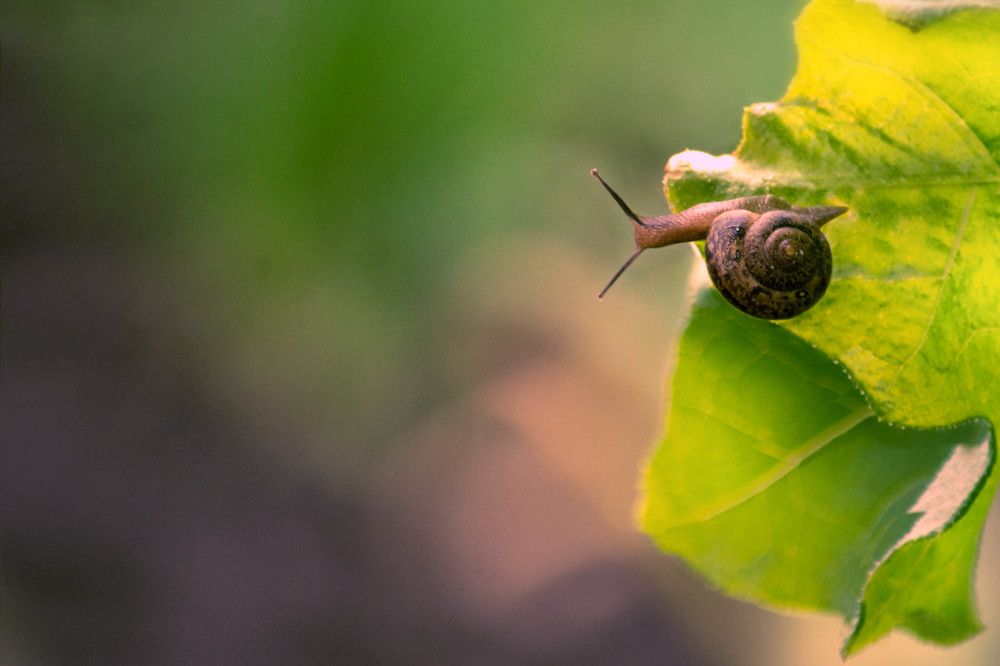 Ооо! А там еще целый  мир