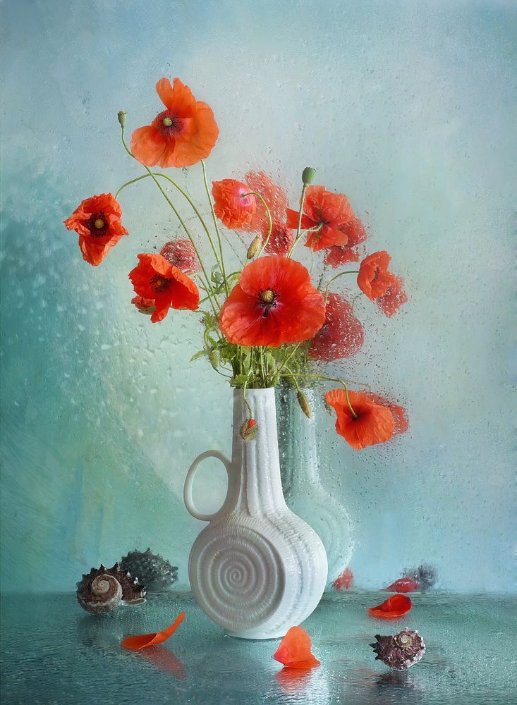 С мечтами о море