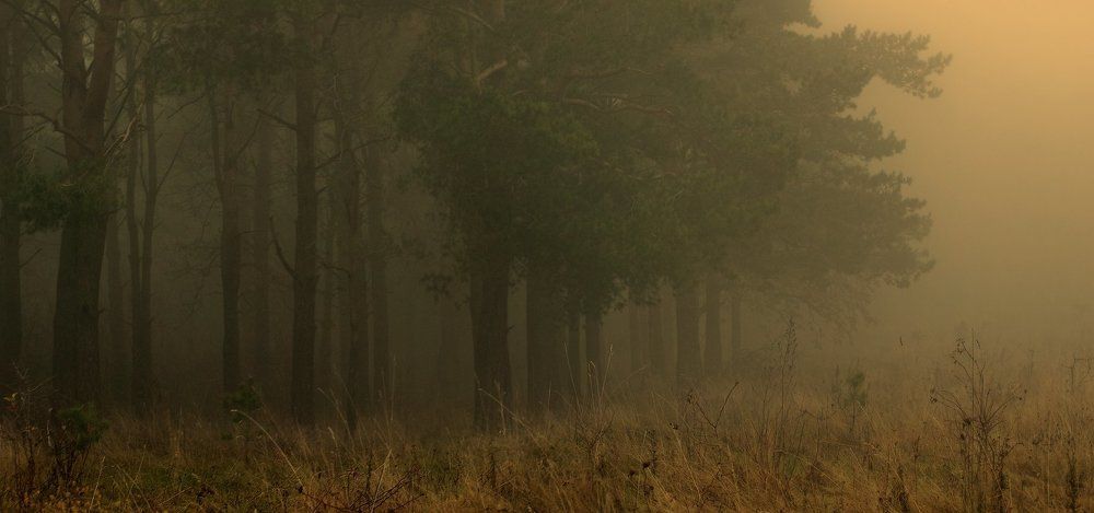 Сонная лощина