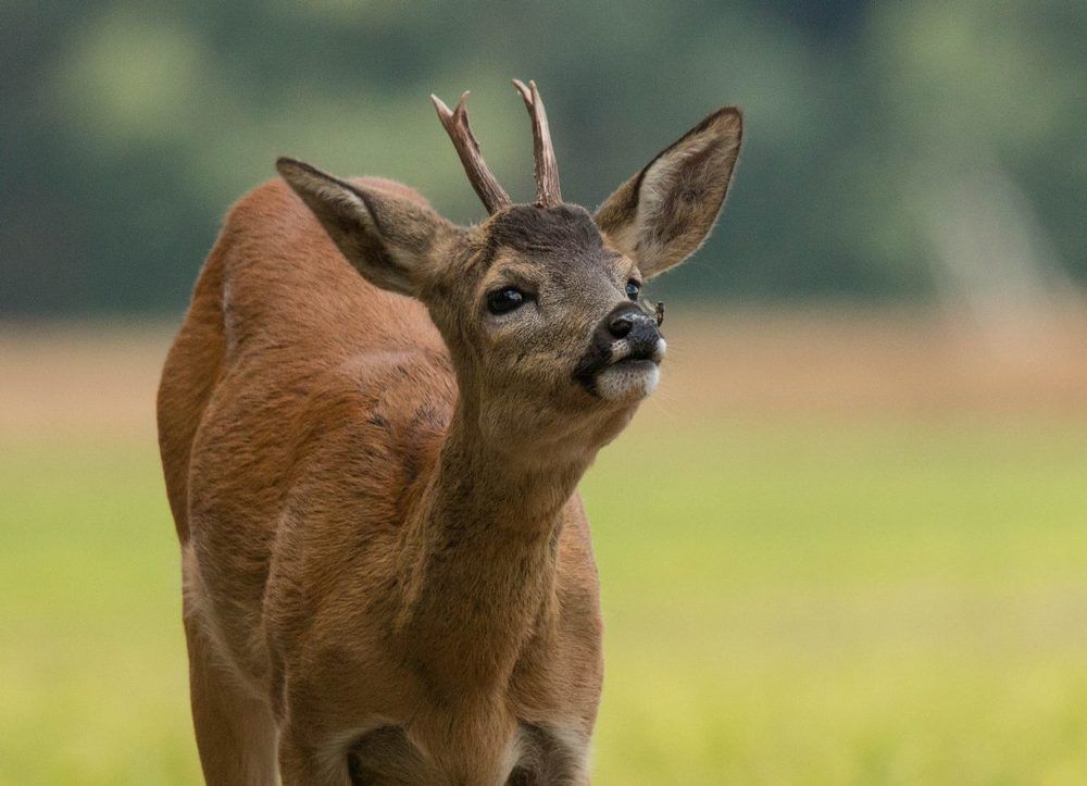 Знакомство