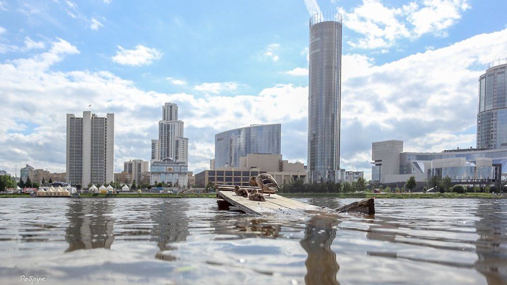 семья и забота