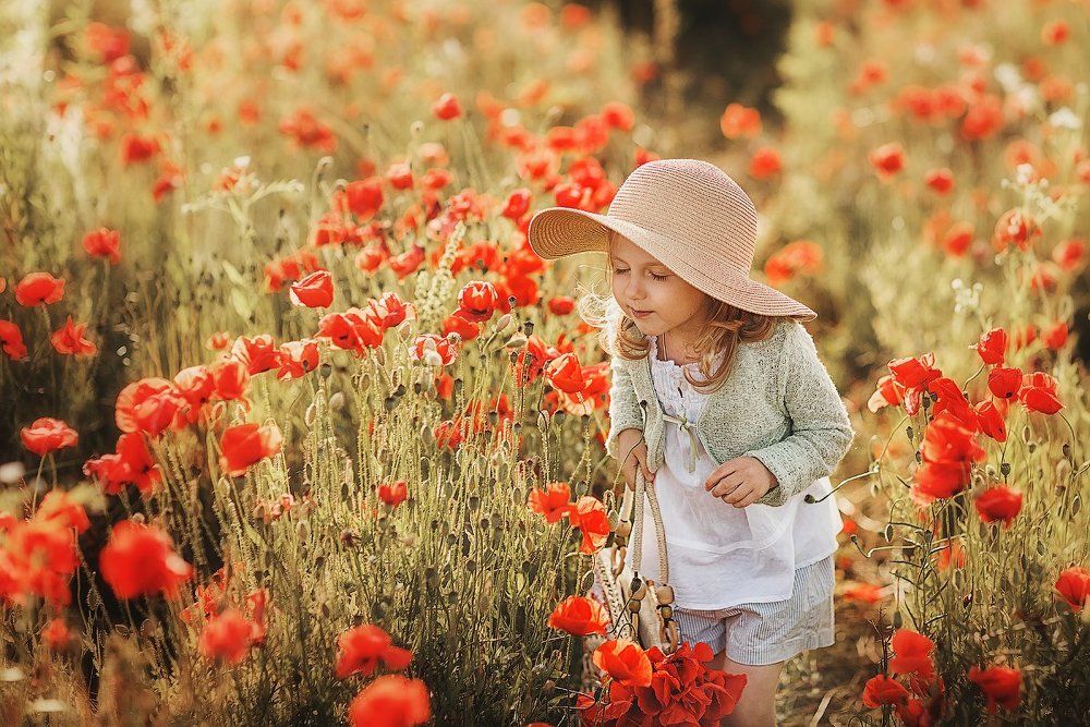 Маковые сны