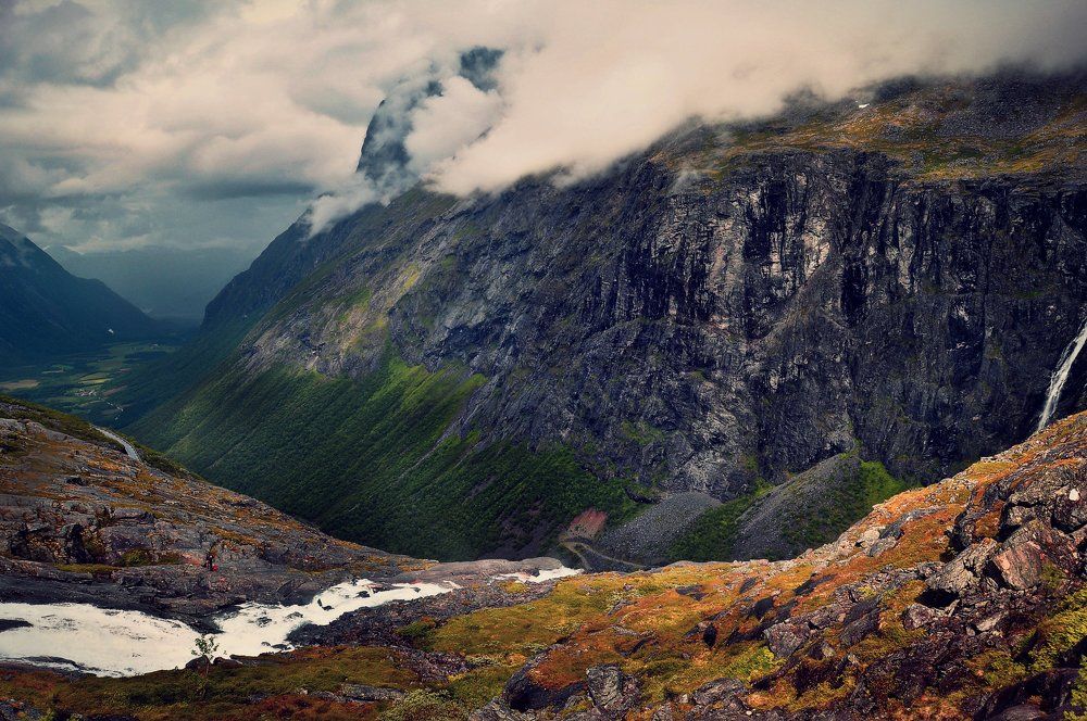 Дорога троллей