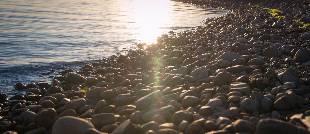 Вечерний берег