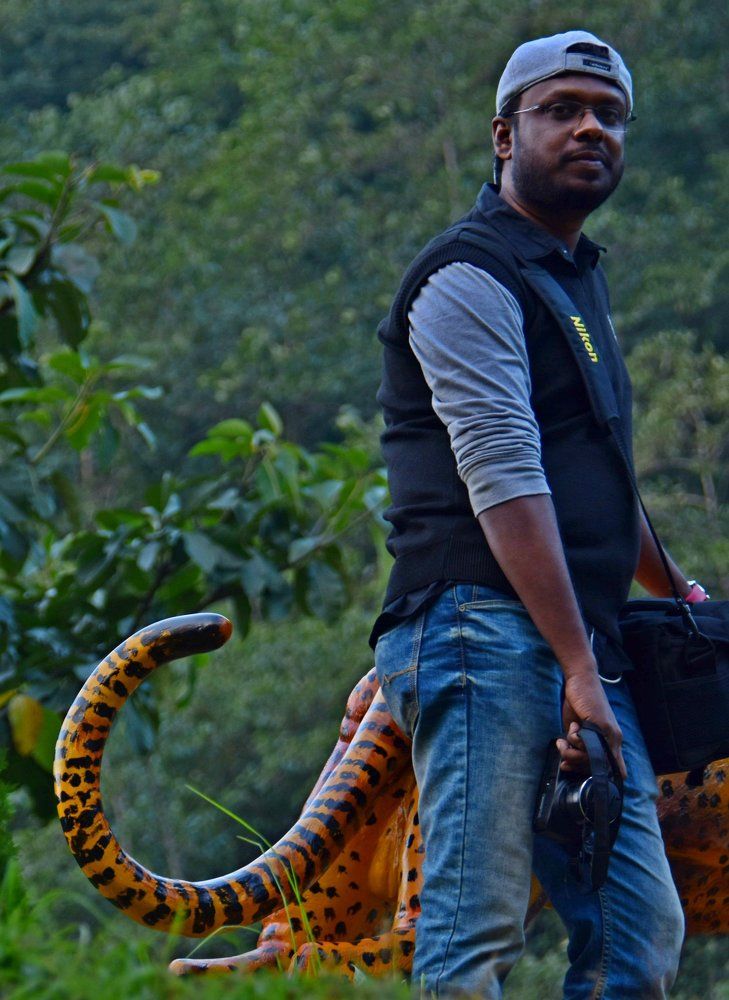 LOOKS LIKE TIGER NOT BORN