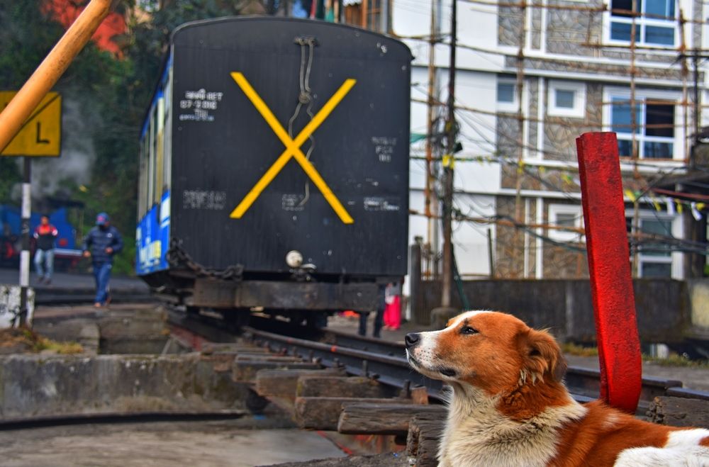 DON'T THING NEGATIVE