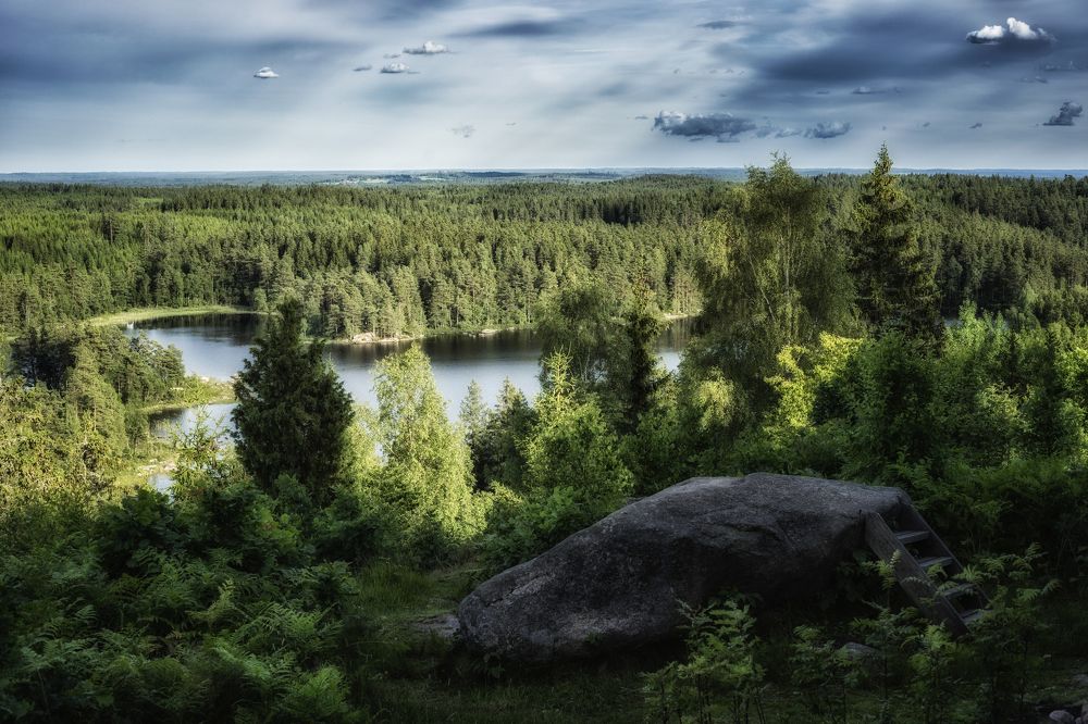Swedish Landscape