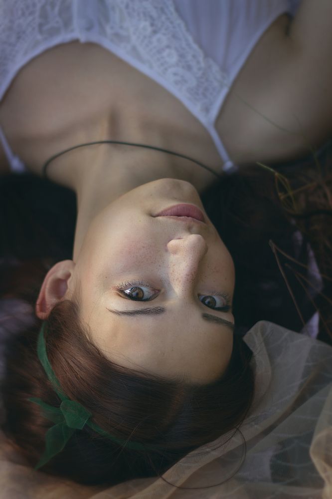 Иглы сосновые