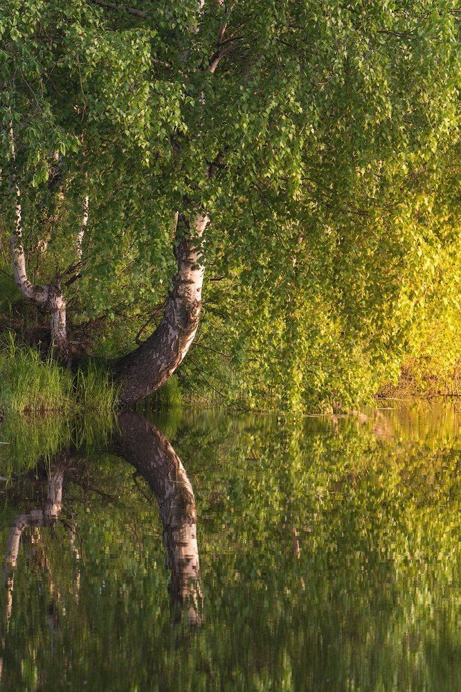 Вечер на Шехромке