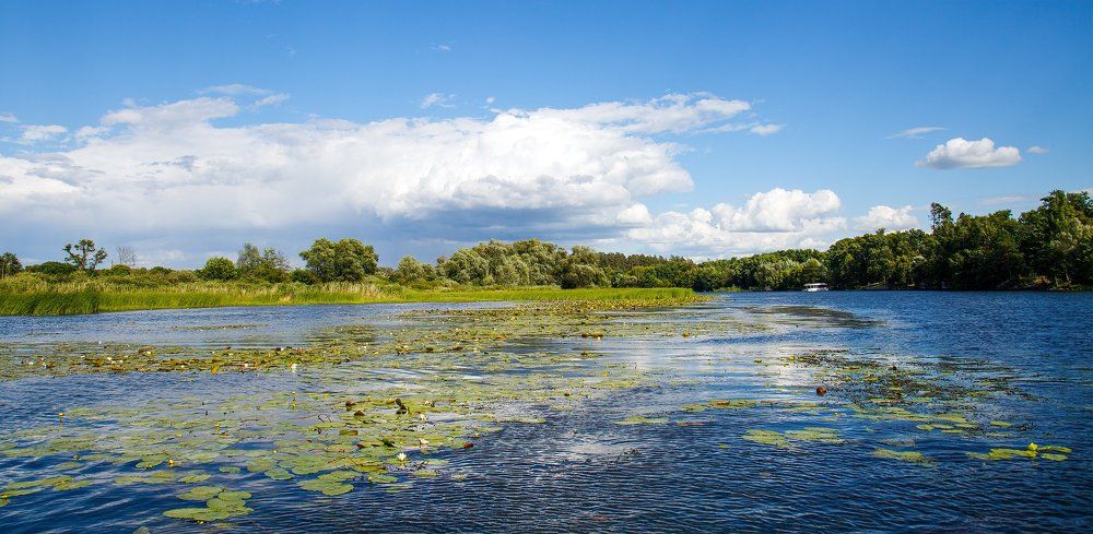 Речной пейзаж Черноземья