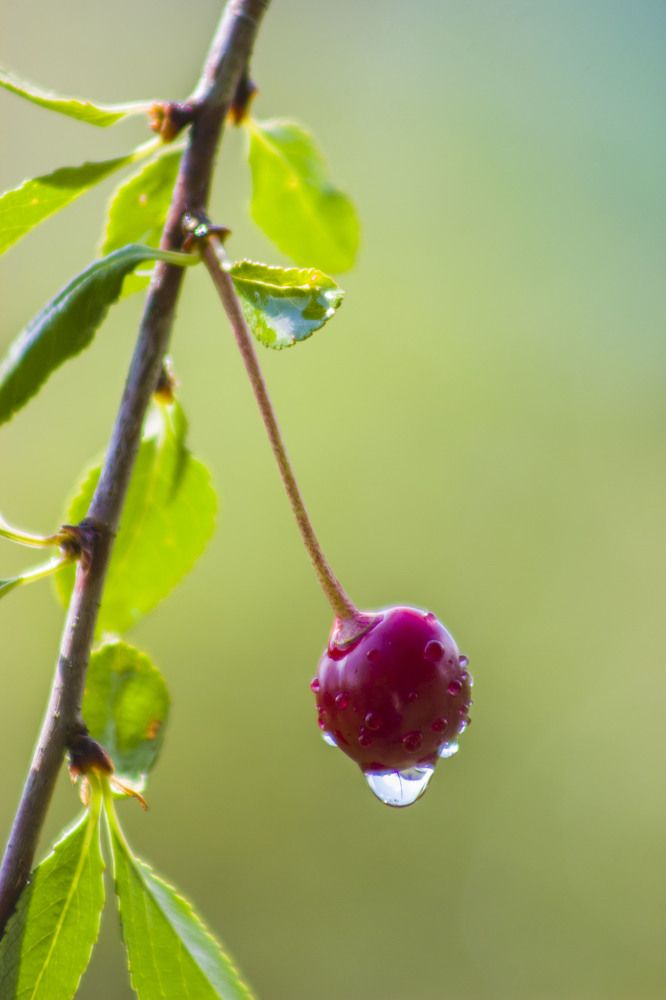 после дождя