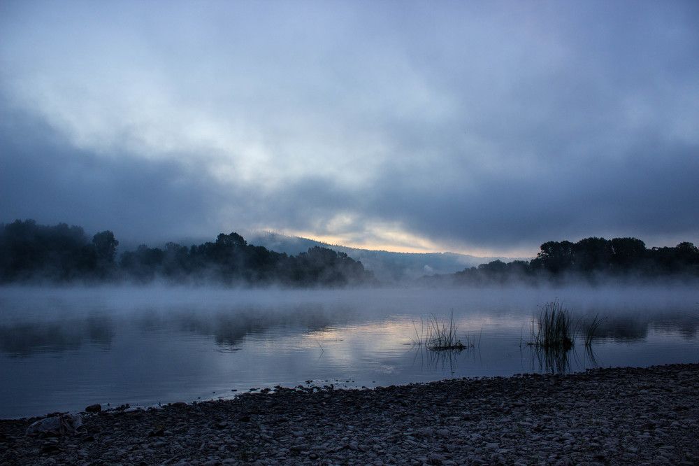 Туманный рассвет