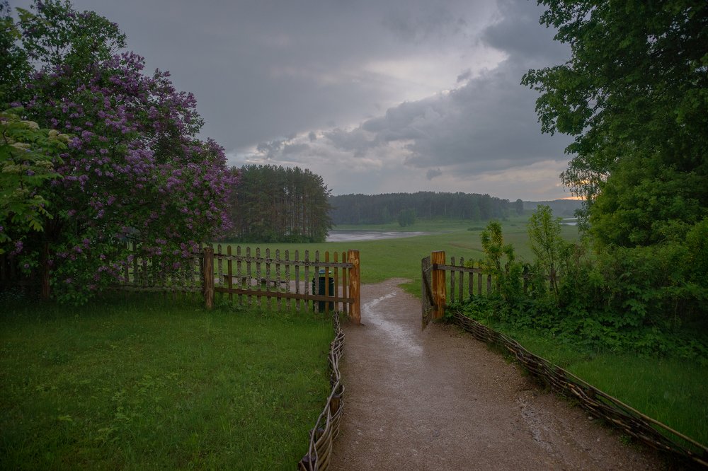 Дождливый вечер в Михайловском