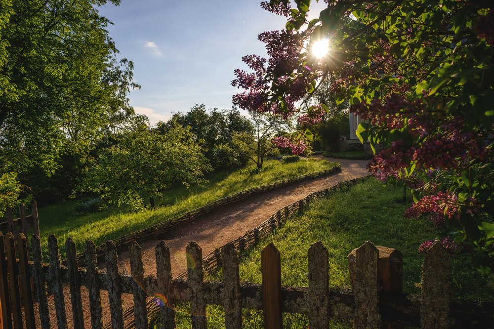 Раннее утро