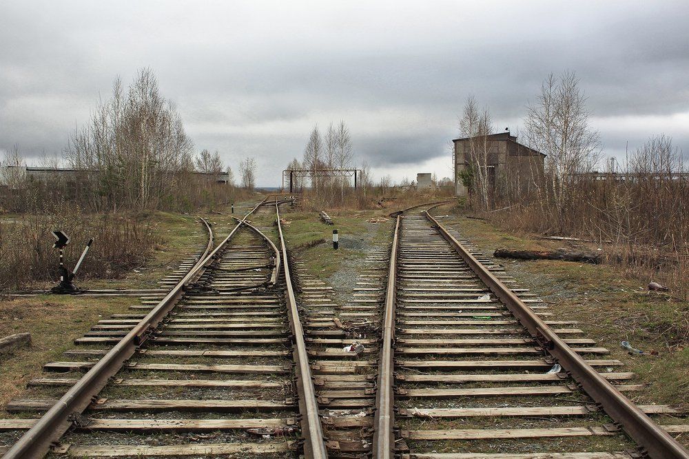 «Чужие здесь не ходят»