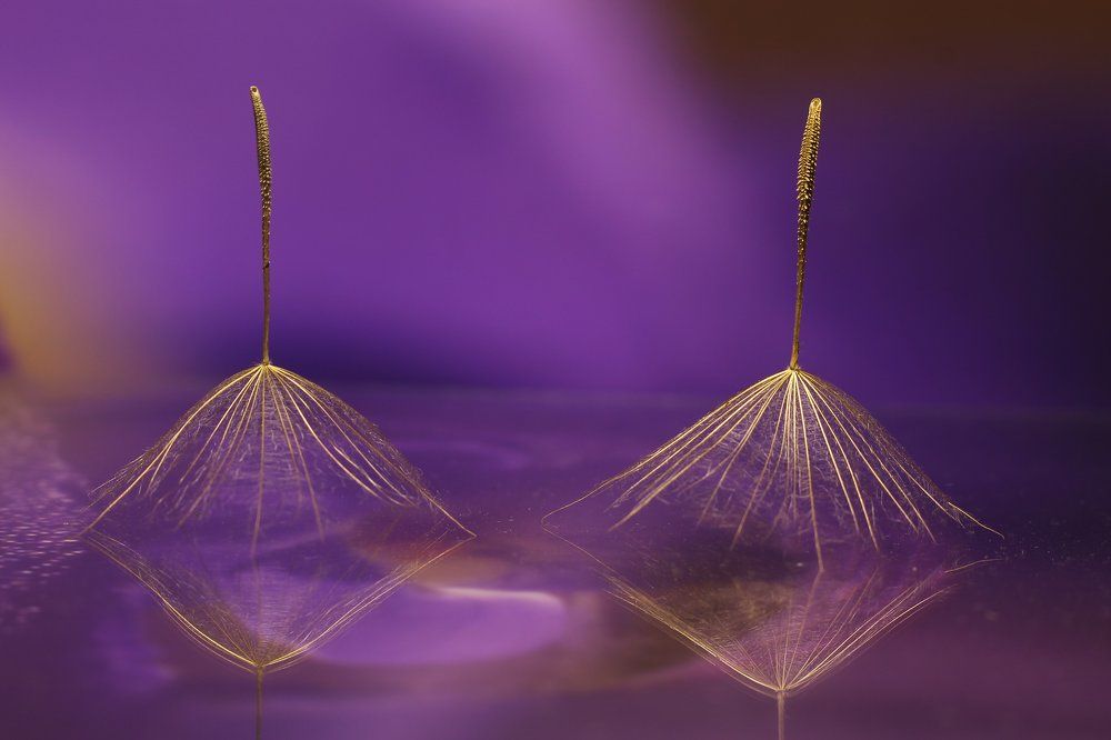 Photograph by Викулов Николай