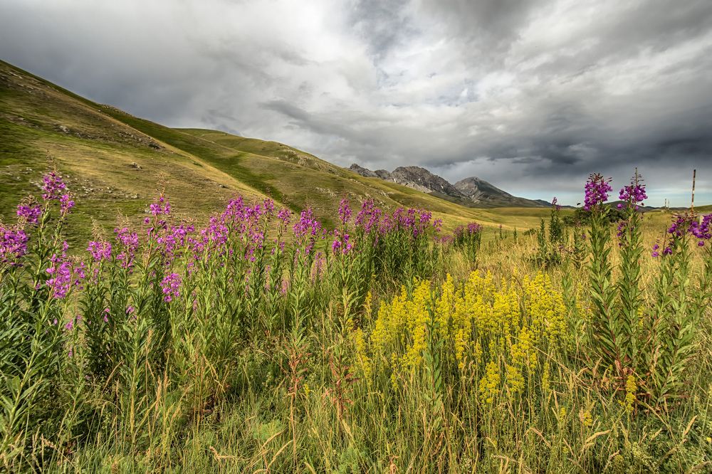 Parco Nazionale Gran sasso e dei Monti della laga