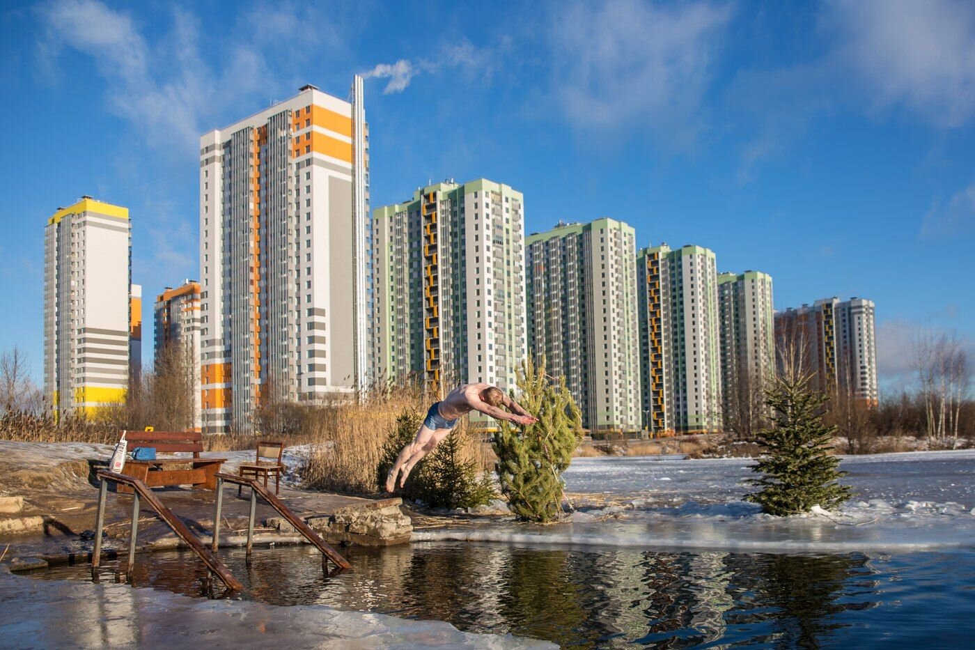 Морж в городе
