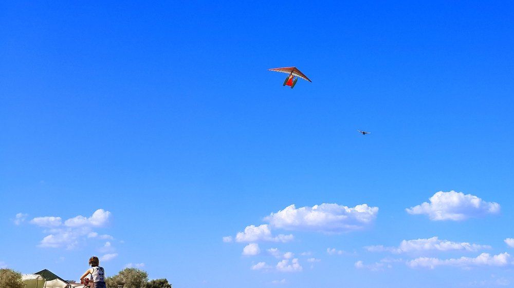 "Наша судьба - стремиться ввысь."