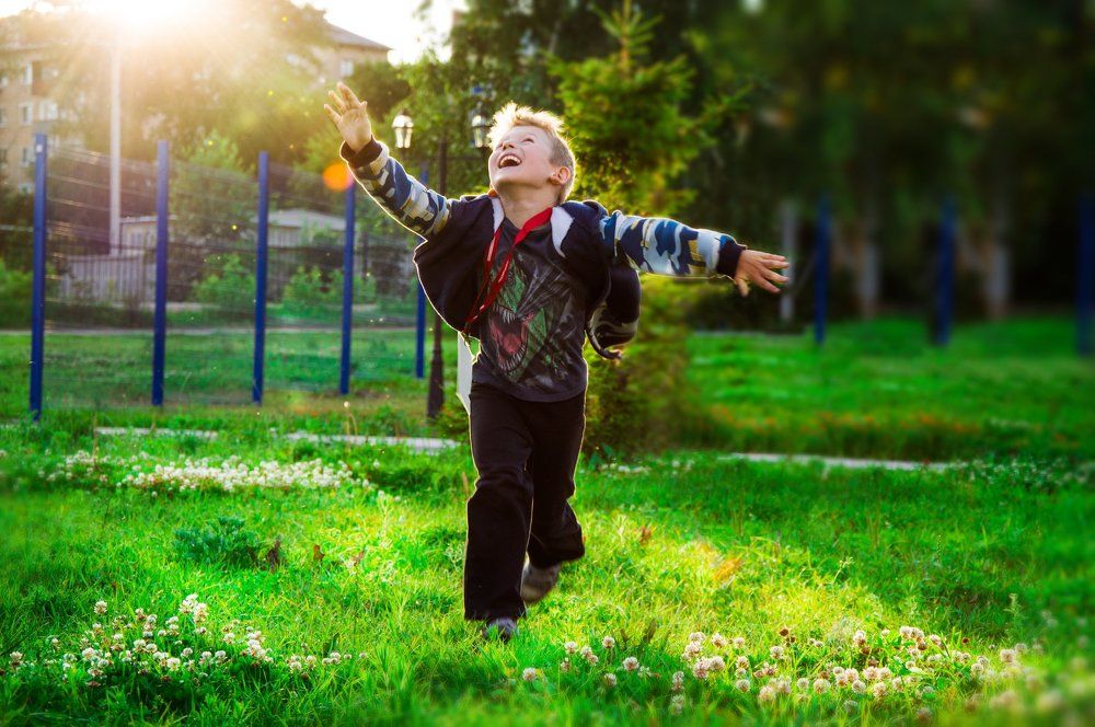 Наперегонки с солнцем