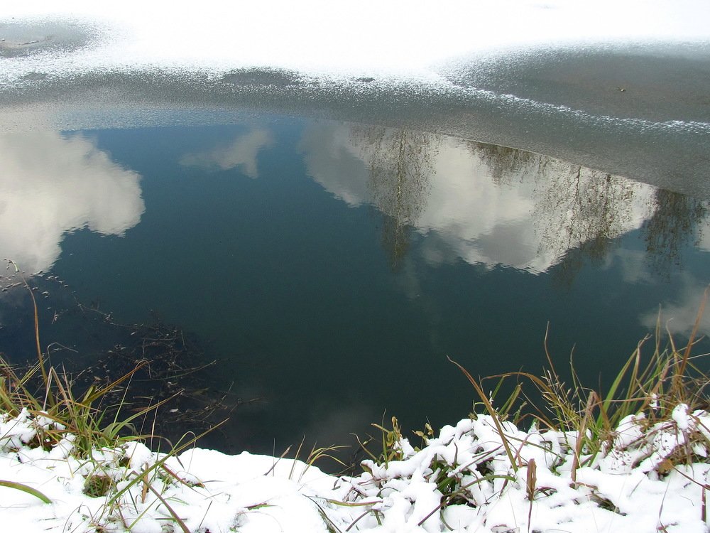 "Всевидящее око"