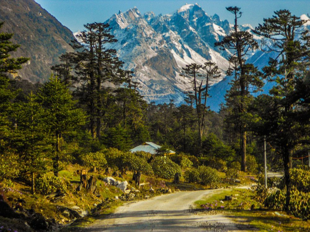 Going to the mountain