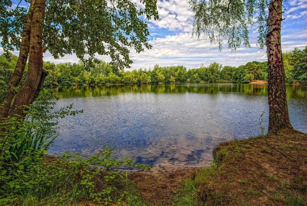 Лесное озеро