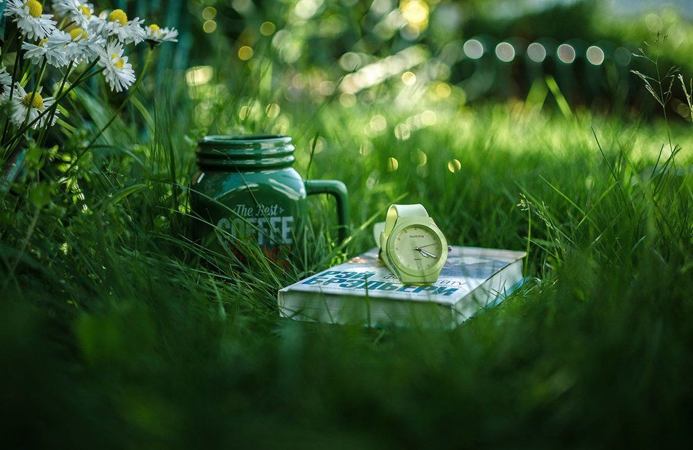 Photograph by Чернякова Анна