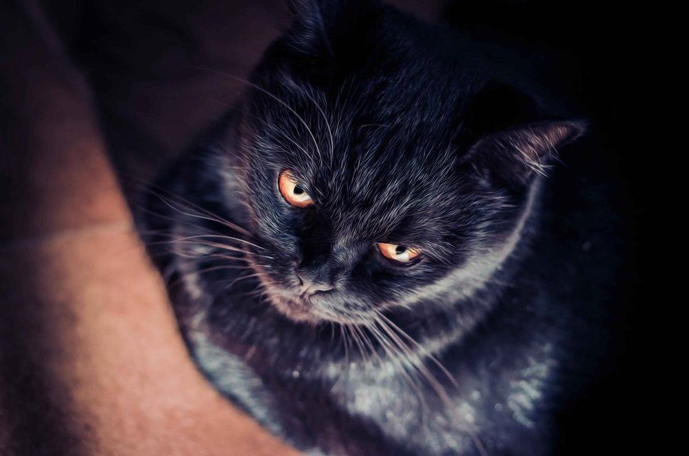 маленький демон