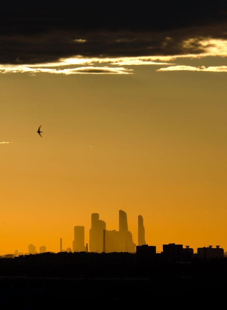 Между землей и небом