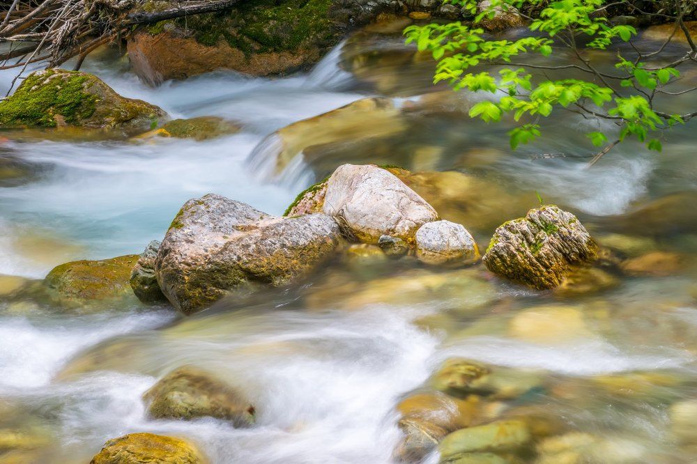Горная река в Черногории.