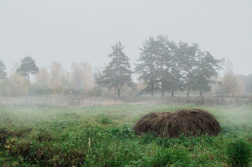 Photograph by Светлана Борисова