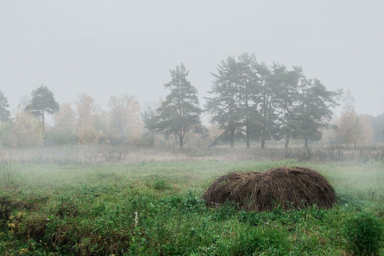 Photo #1842242